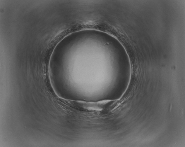 X0000070231301200605301445