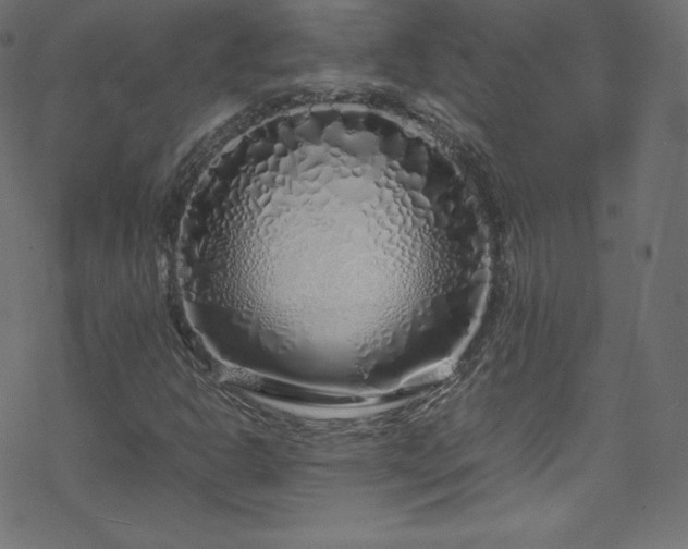 X0000070231302200605301445