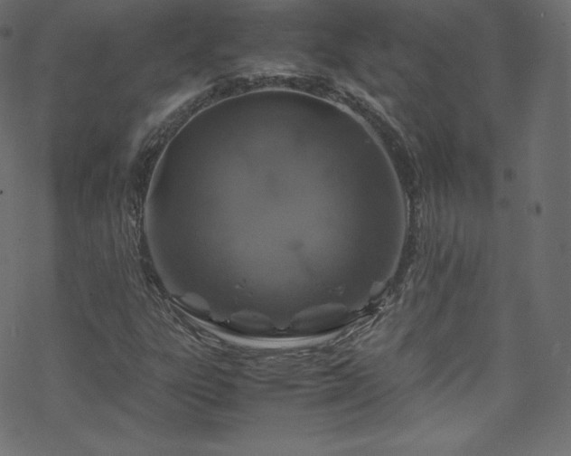 X0000070231303200605301445