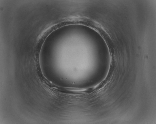 X0000070231304200605301445