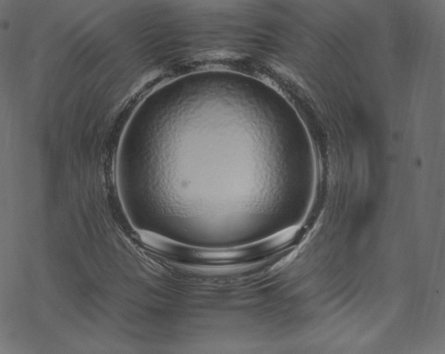 X0000070231305200605301445