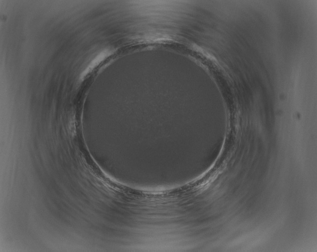 X0000070231306200605301445