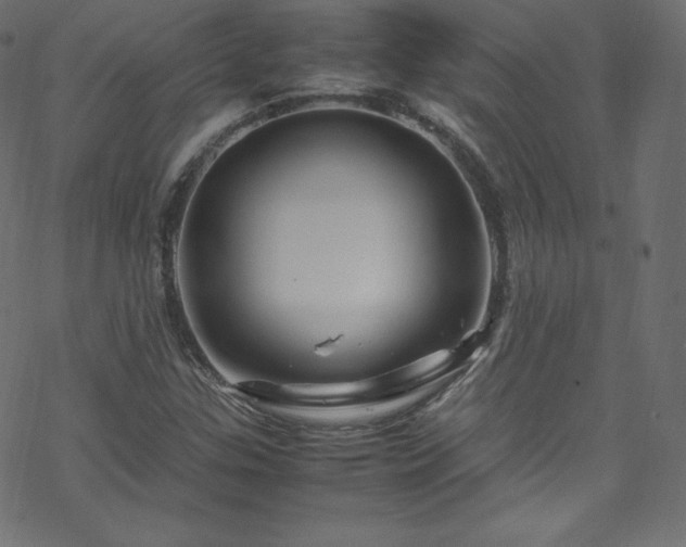 X0000070231307200605301445