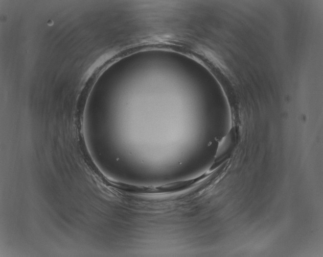 X0000070231308200605301445