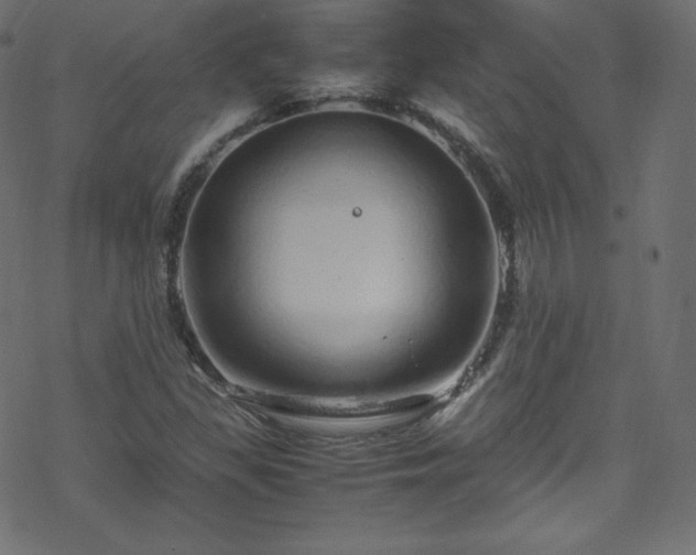 X0000070231309200605301445