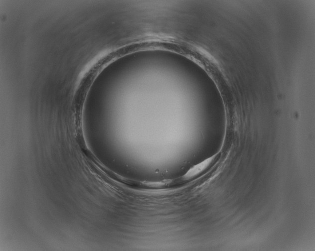 X0000070231310200605301445