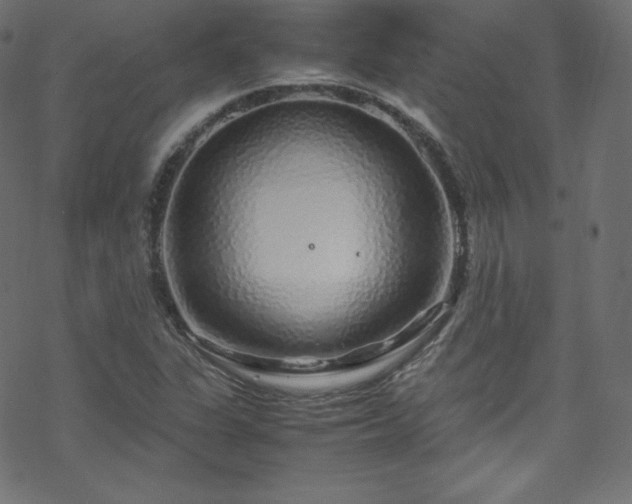 X0000070231311200605301445