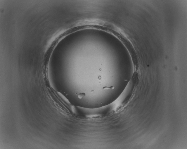 X0000070231312200605301445