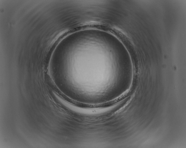 X0000070231313200605301445