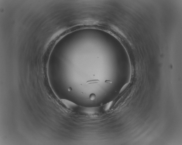 X0000070231315200605301445