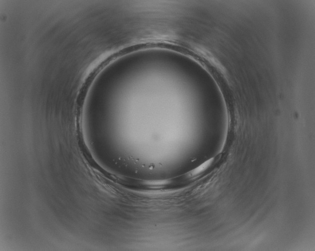 X0000070231316200605301445