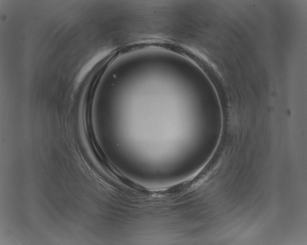 X0000070231317200605301446