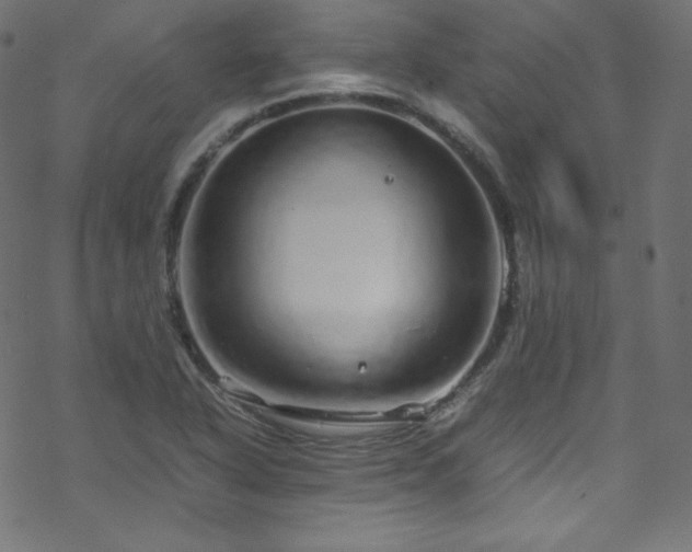 X0000070231318200605301446