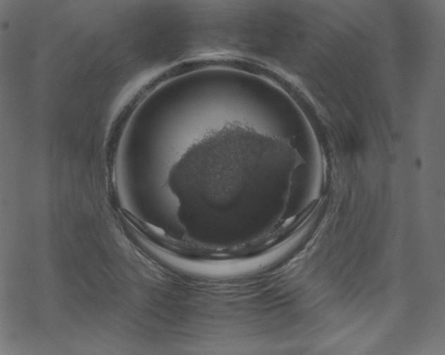 X0000070231319200605301446