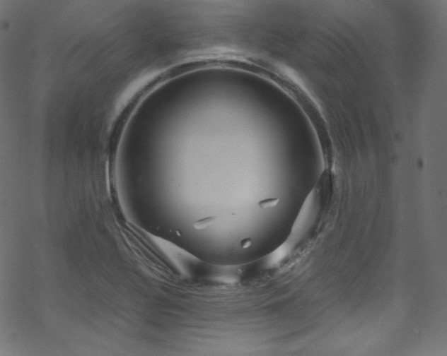 X0000070231320200605301446