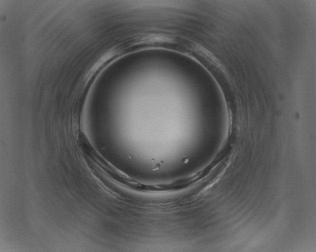 X0000070231321200605301446