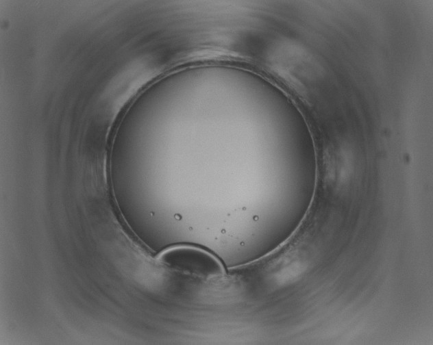 X0000070231322200605301446