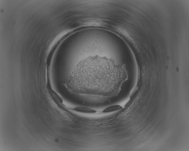 X0000070231323200605301446