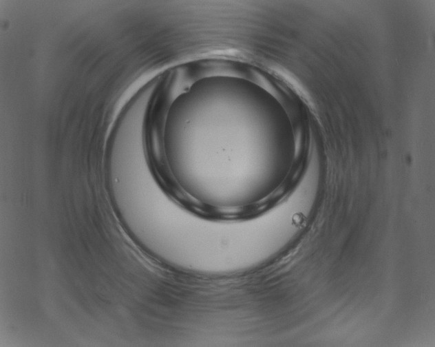 X0000070231324200605301446