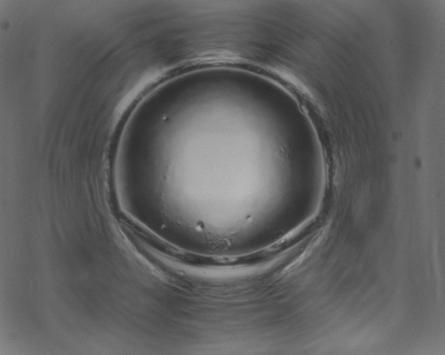 X0000070231325200605301446