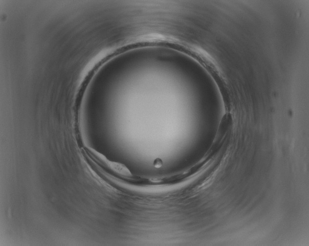 X0000070231326200605301446