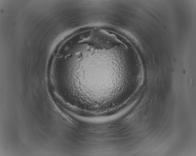 X0000070231327200605301446