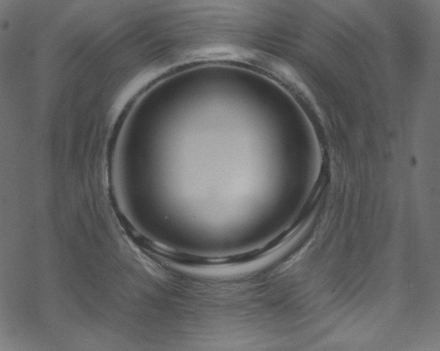 X0000070231328200605301446