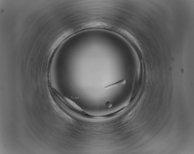 X0000070231330200605301446