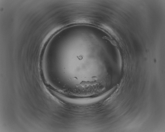 X0000070231331200605301446