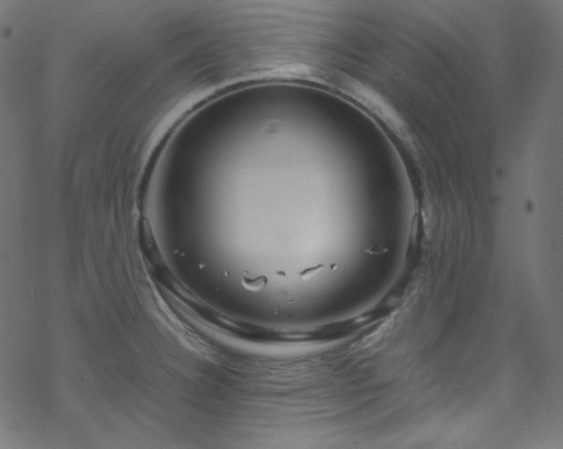 X0000070231332200605301446