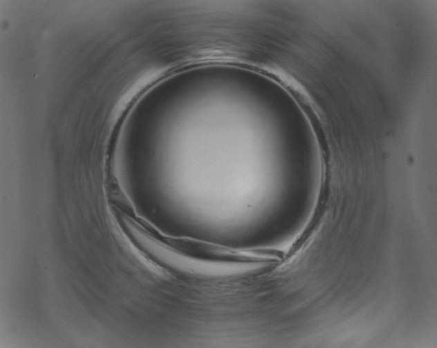 X0000070231333200605301446