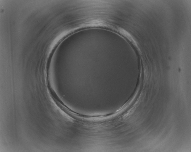 X0000070231334200605301446