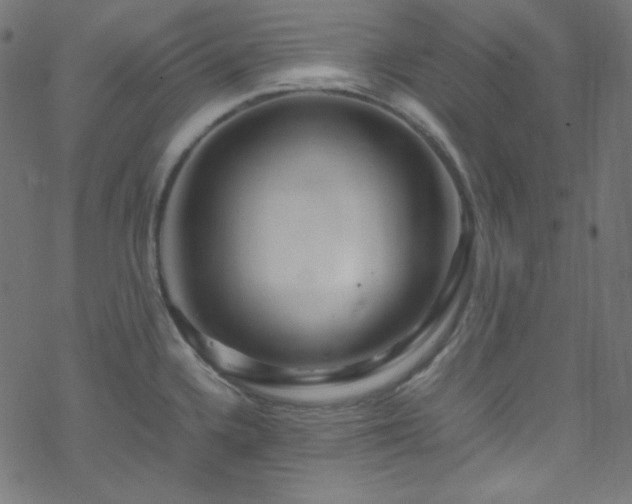 X0000070231336200605301446