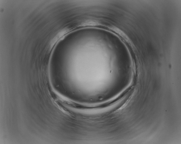 X0000070231337200605301446