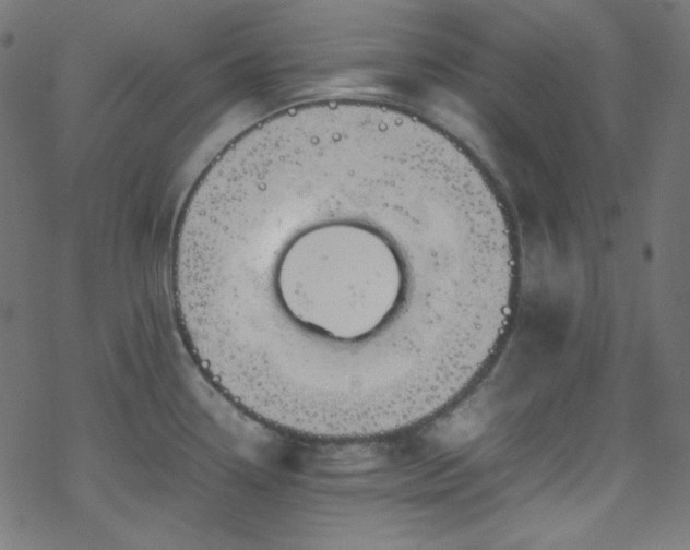 X0000070231338200605301446