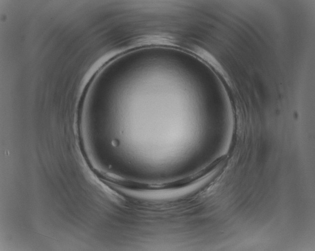 X0000070231339200605301446