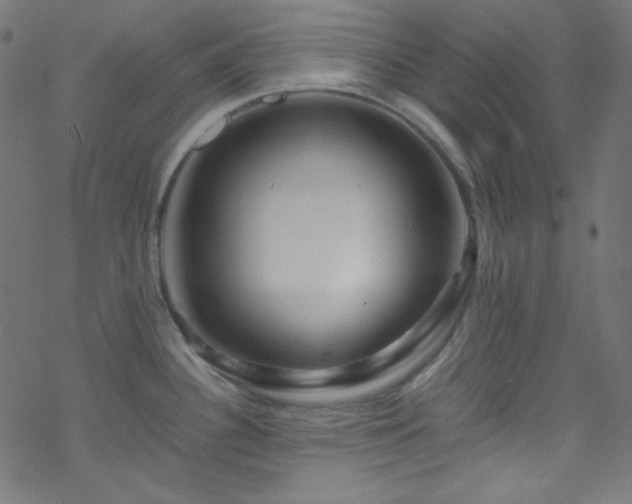 X0000070231340200605301446