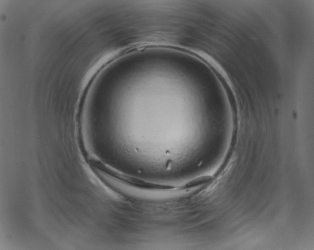 X0000070231341200605301446