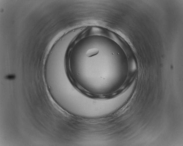 X0000070231342200605301446