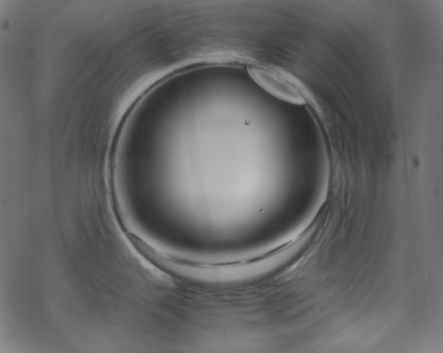 X0000070231343200605301446