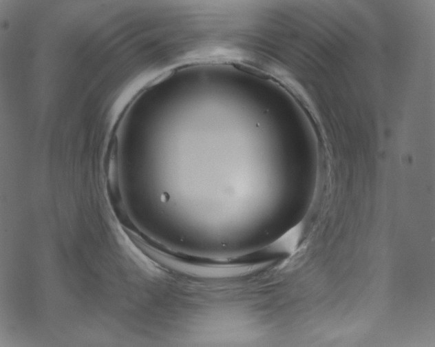 X0000070231344200605301446