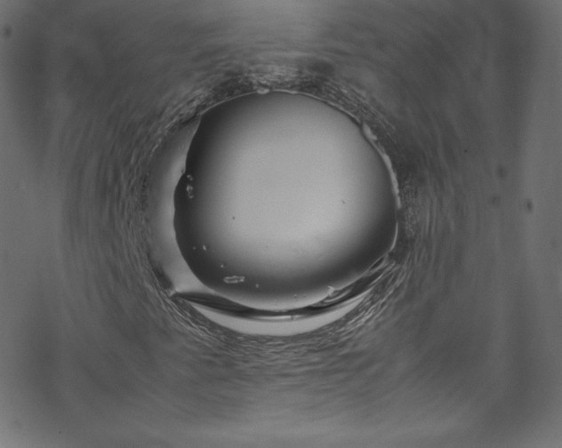 X0000070231345200605301445