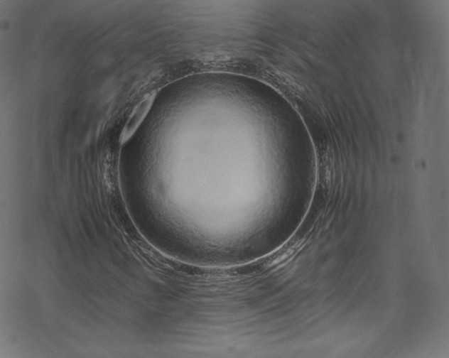 X0000070231346200605301445