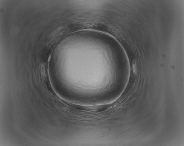 X0000070231347200605301445