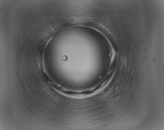 X0000070231348200605301445