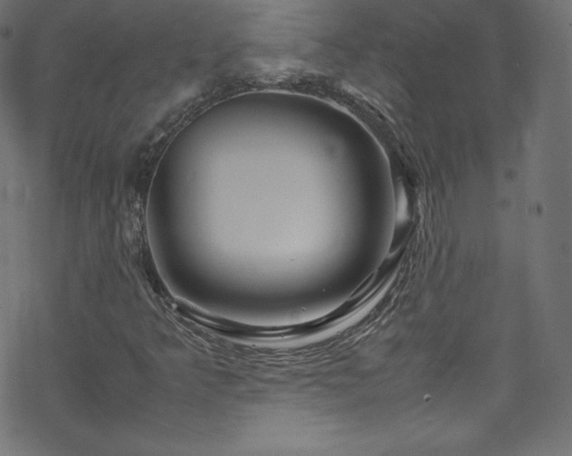 X0000070231349200605301445