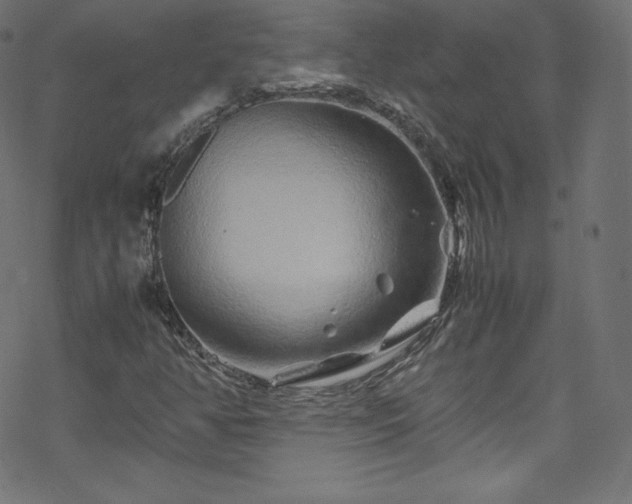 X0000070231350200605301445