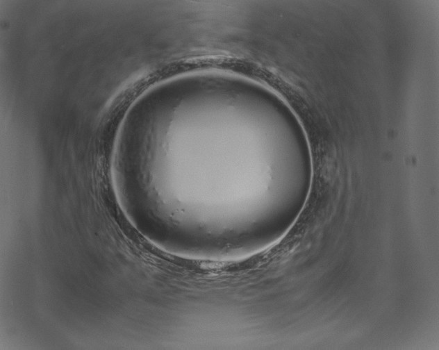 X0000070231351200605301445