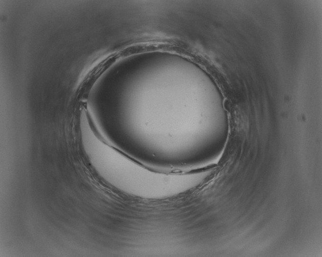 X0000070231352200605301445