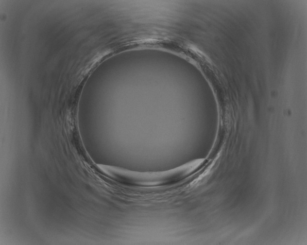 X0000070231353200605301445